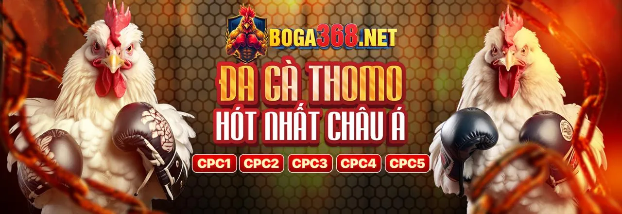 bét 169 - Nền tảng cá cược trực tuyến hàng đầu Việt Nam